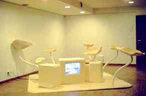 bettina_samson_attracteurs_antarctiques_a_a_2003_video_en_boucle_7_min_polystyrene_extrude_pvc_mousse