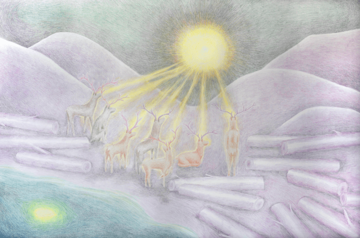 capture-decran-2024-05-11-a-13.46.09