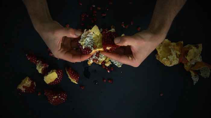 elias_kurdy_opposable_thumbs_video_8min_2019