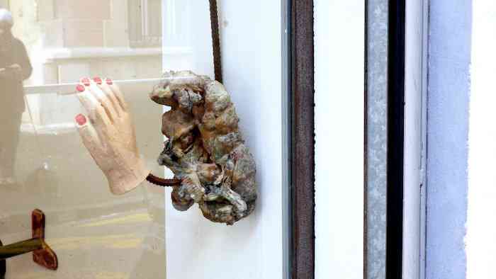 estel_fonseca_mammiferes_a_frein_detail_vue_d-exposition_automne_hiver_intersaison_galerie_du_tableau_marseille_2019__estel_fons