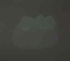 jeremie_delhome_sans_titre_2010_acrylique_sur_bois_140x160_cm_1