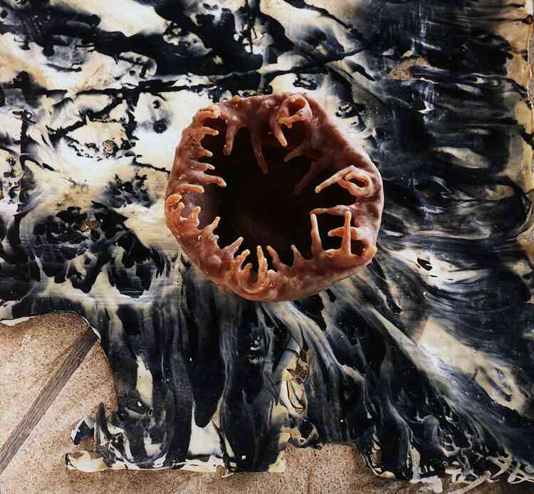 2000_rachel_poignant_vue_d-atelier_tf_4