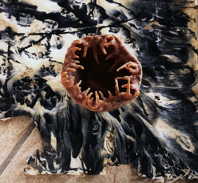 2000_rachel_poignant_vue_d-atelier_tf_4