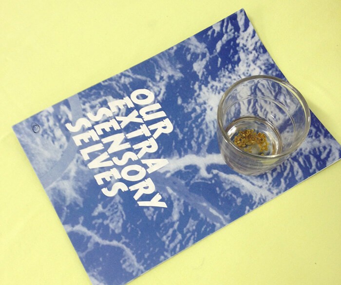 detail_d-une_session_d-oess