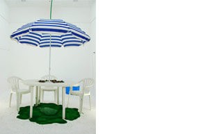 annabelle_czyz_natural_animel_2005_assemblage_et_construction_materiaux_divers