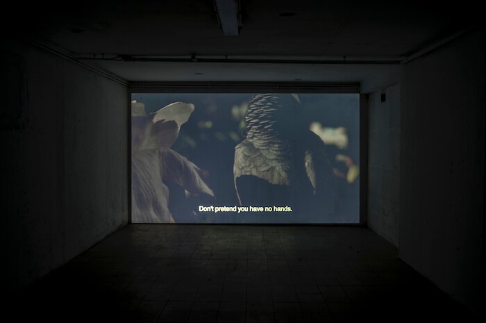 aurelien_potier_fake_there_must_be_something_behind_it_video_10_min_2017_19