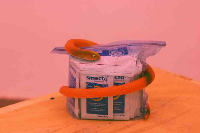 ben_saint_maxent_pimpology_detail_dinstallation_2016_bazaar_compatible_program_shanghai