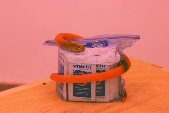 ben_saint_maxent_pimpology_detail_dinstallation_2016_bazaar_compatible_program_shanghai