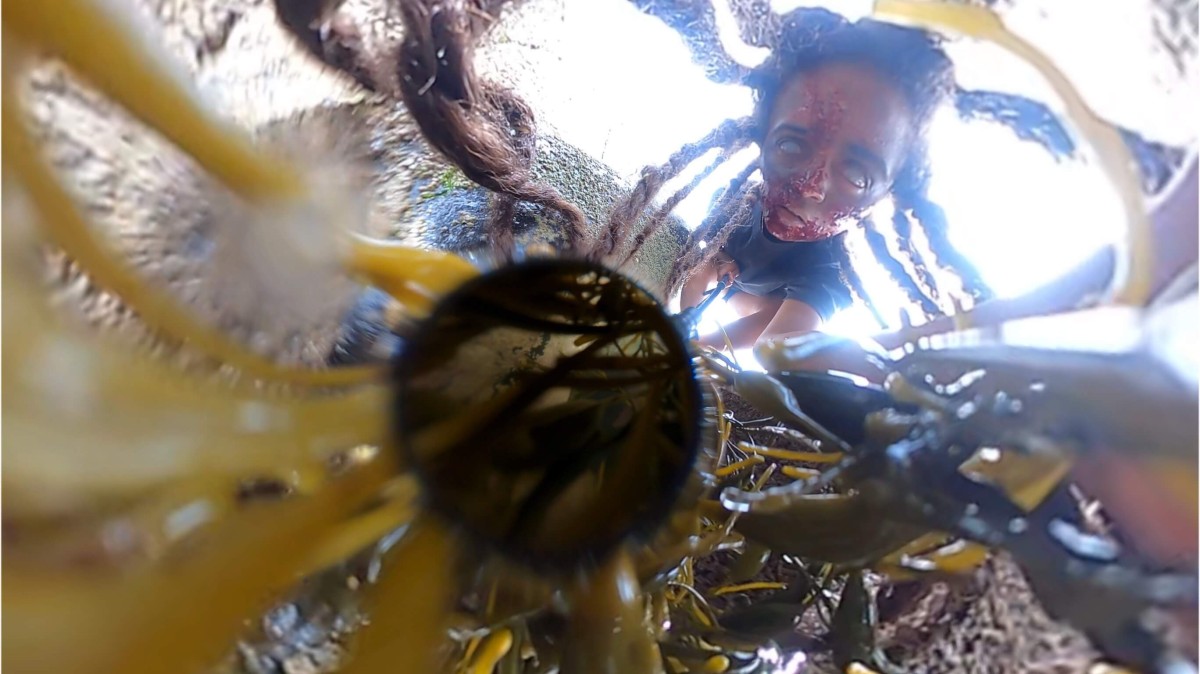 portrait-courtesy-clemence_lollia-hilaire