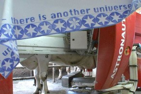 copa_et_sordes_concrete_and_flowers_2009_extrait_video_2