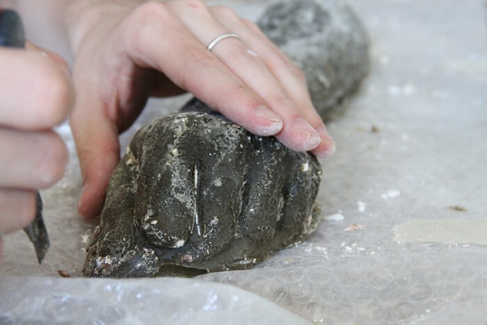 david_stucchi_vue_d_atelier__triangle_france