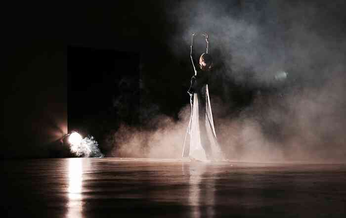 florent_audoye_faire_rever_cest_un_metier_2016_performance_spectacle_en_dix_actions_50_min_festival_frasq_8_gentilly_helene_lang