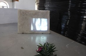 gaelle_choisne_crocodile_hunters_2013_installation_projection_video_sur_sculpture_et_vegetation_camouflage_video_super_8_crocodi