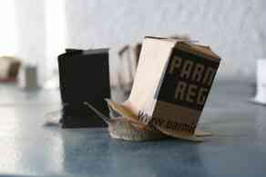 geraldine_py_et_roberto_verde_fils_de_bave_2009_objets_bave