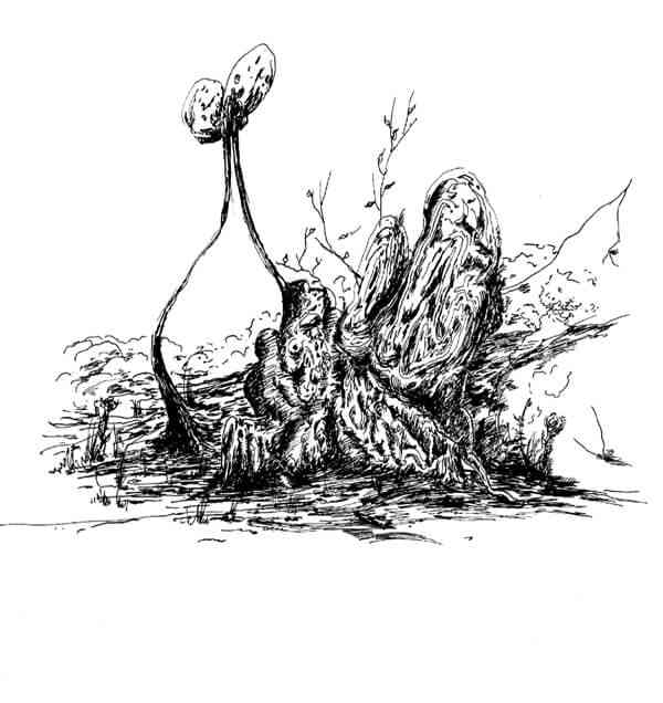 hayane_kam_nakache_wallis_21cm_x_29_7cm_encre_de_chine_sur_papier_2010