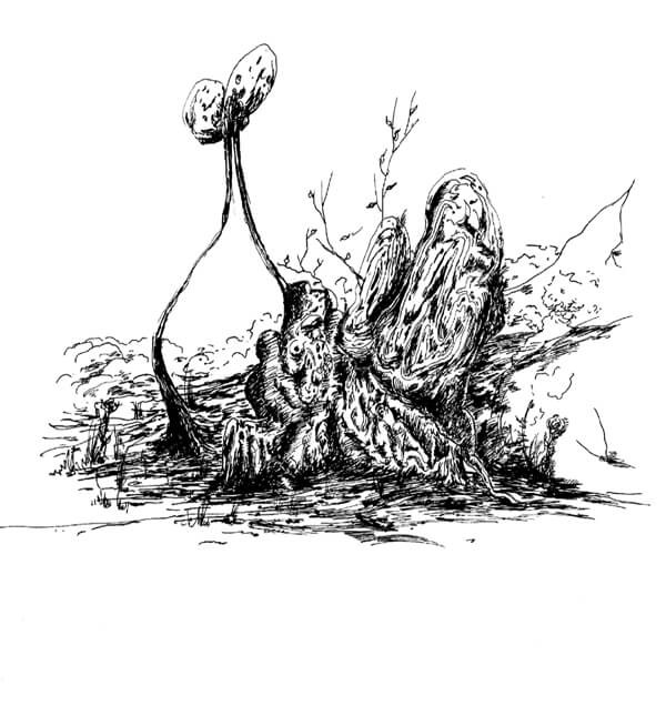 hayane_kam_nakache_wallis_21cm_x_29_7cm_encre_de_chine_sur_papier_2010