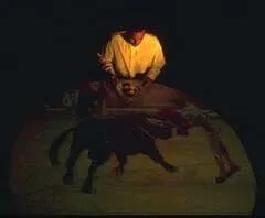 bull1