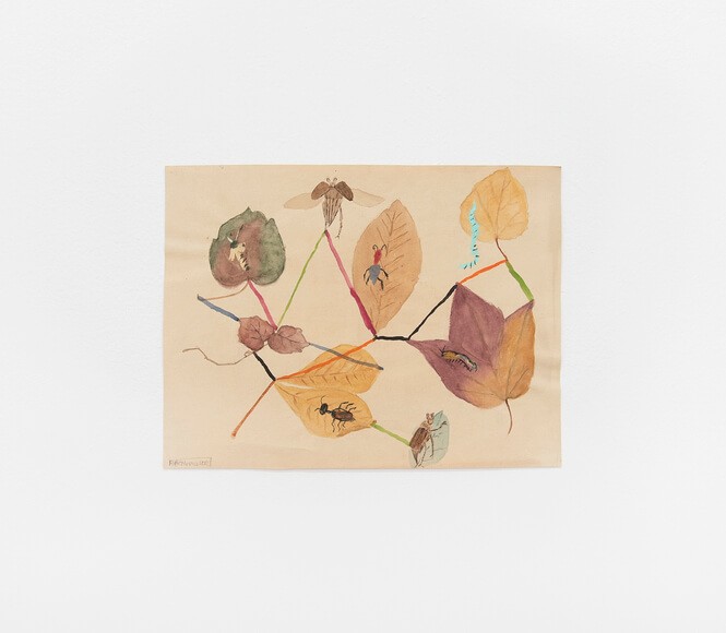 22efd7e16d76ec4cba7e878020639311