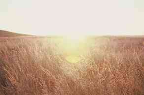 jean_de_sagazan_sans_titre_2014_huile_sur_toile_158_x_198cm