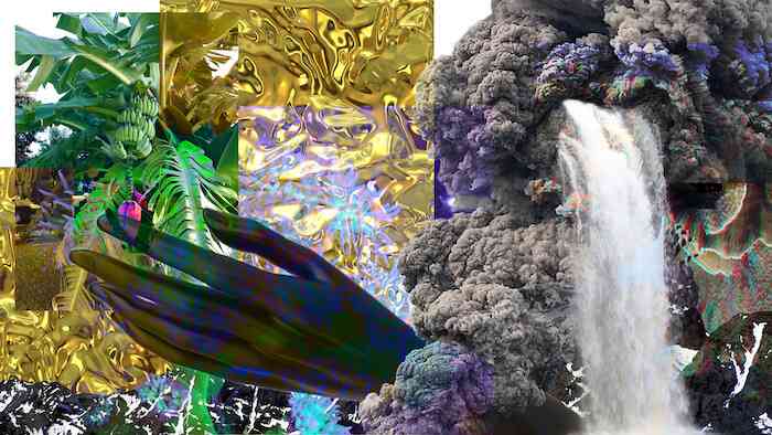 josefa_ntjam_fish_tank_family_2018_photomontage