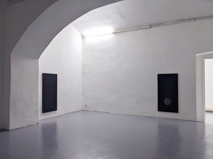 kevin_desbouis_boys1_boys2_2021_techniques_mixtes_120_x_60_cm_chaque_vue_dexpo_governmental_fires_futura_prague_2021