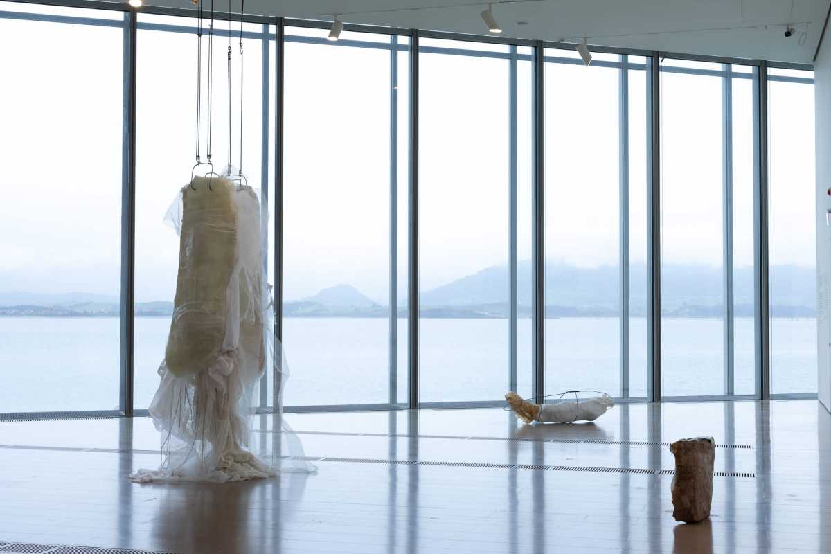 botin-lucia_c_pino_07p