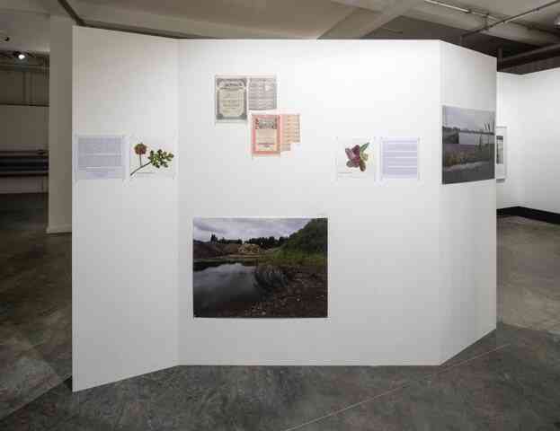 com-artefact-foto-maria-thereza-alves-seeds-of-change-installation-shot-stuk-leuven-2019-kristof-vrancken