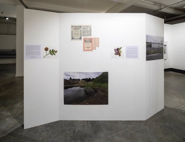 com-artefact-foto-maria-thereza-alves-seeds-of-change-installation-shot-stuk-leuven-2019-kristof-vrancken