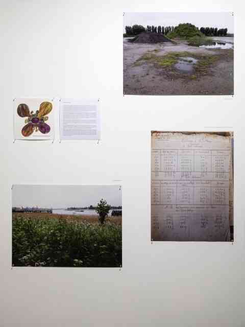 com-artefact-02-foto-maria-thereza-alves-seeds-of-change-installation-shot-stuk-leuven-2019-kristof-vrancken