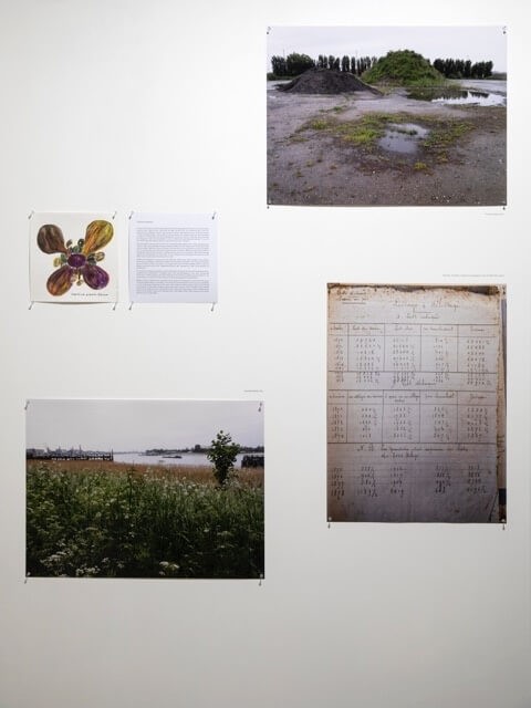 com-artefact-02-foto-maria-thereza-alves-seeds-of-change-installation-shot-stuk-leuven-2019-kristof-vrancken