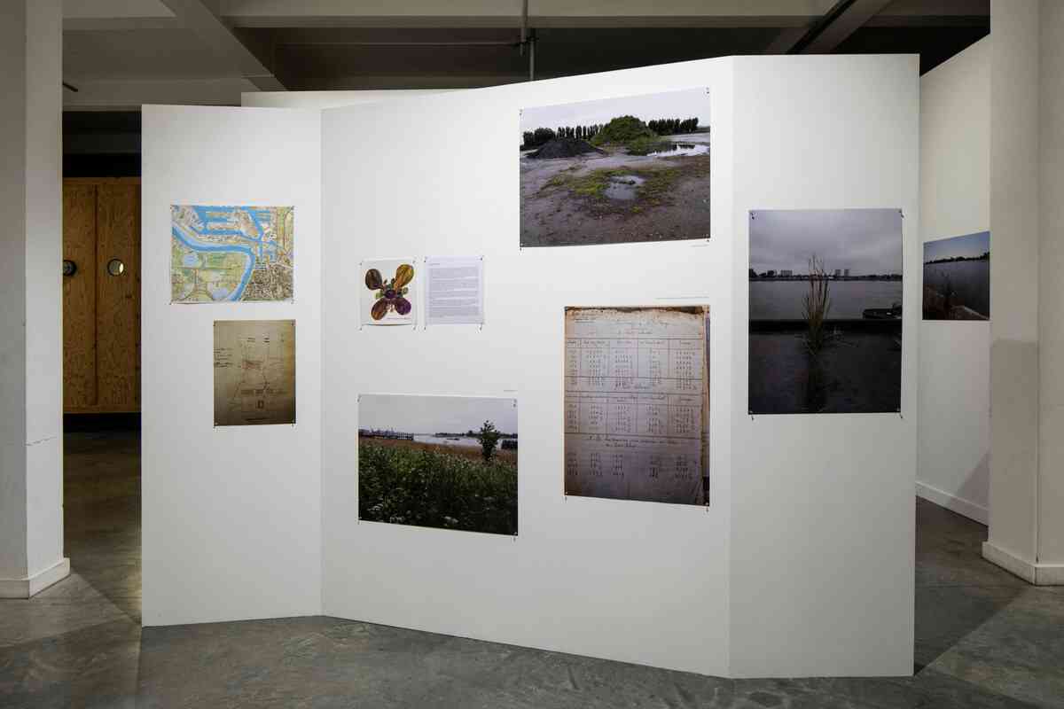 48079842263_ce10af169e_o