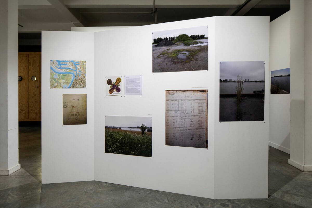 48079842263_ce10af169e_o