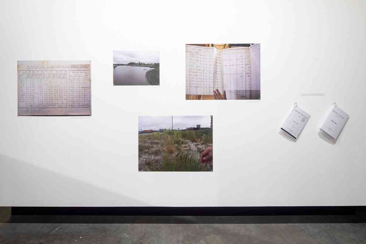 48079812321_736206d85e_o