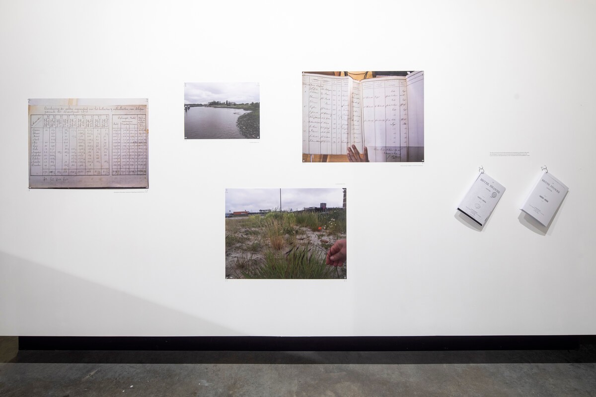 48079812321_736206d85e_o