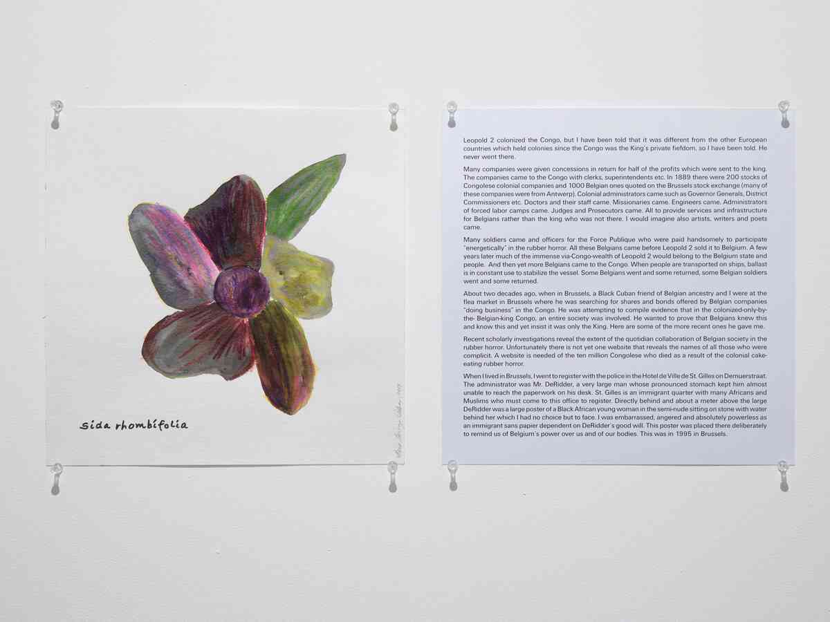 48079812976_55c85519b2_o