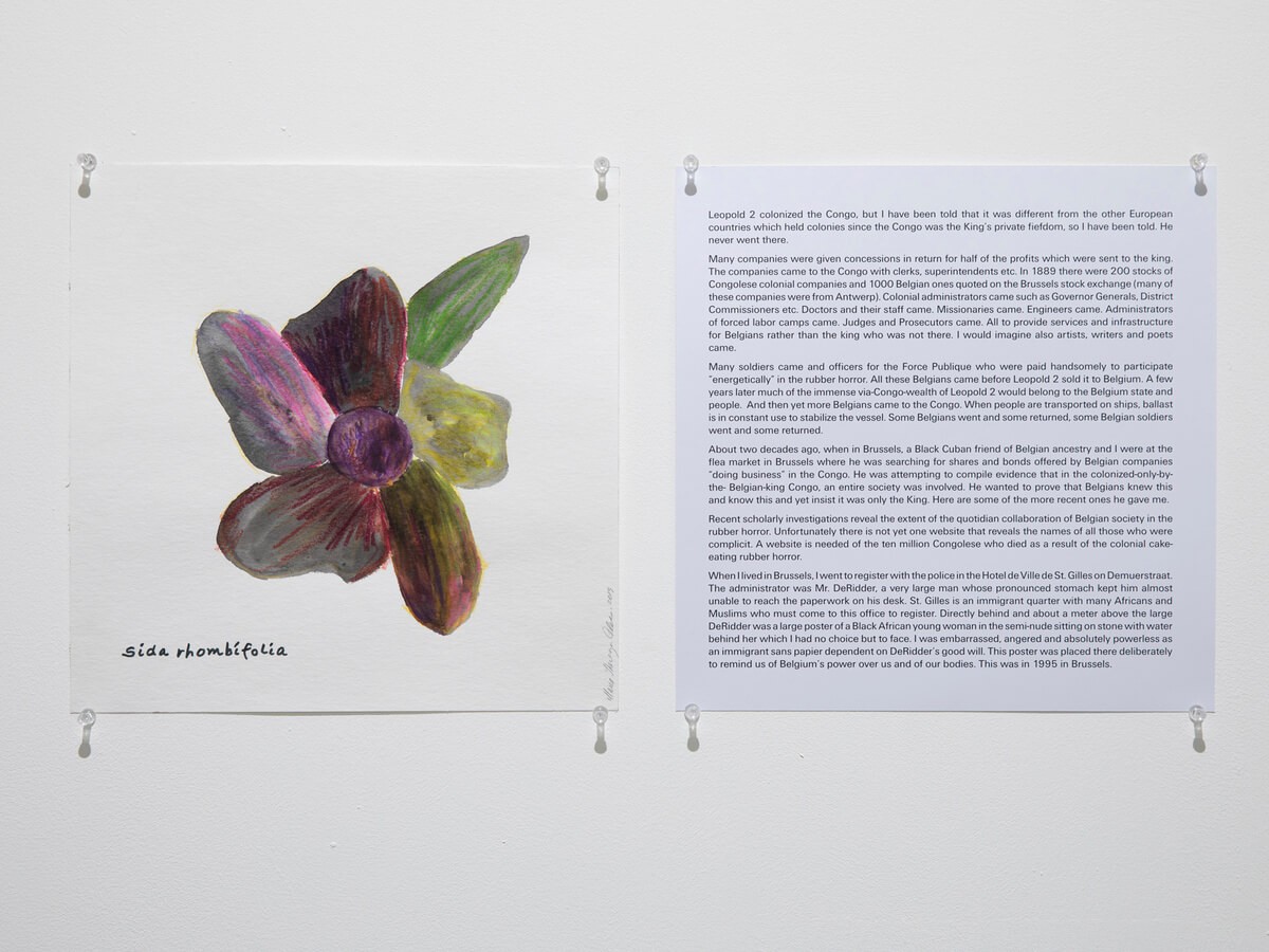 48079812976_55c85519b2_o