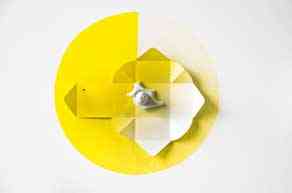 marie_lelouche_dead_nature_toujours_en_vie_2012_porcelaine_serigraphie_sur_carton_et_sur_mur_70x70x10cm