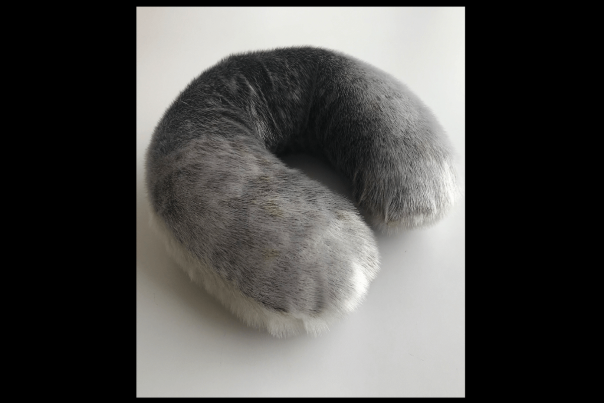 capture-decran-2024-07-24-a-16.58.01