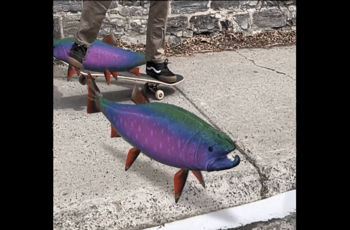 capture-decran-2024-07-24-a-16.57.42