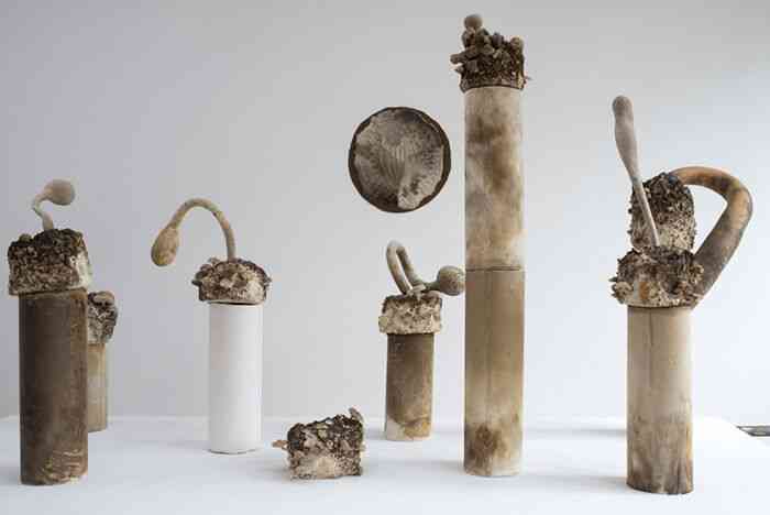 martin_belou_les_hors_doeuvres_platre_fume_au_cedre_champignons_gourdes_metal_bois_dimensions_variables_2017