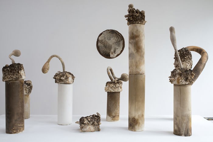 martin_belou_les_hors_doeuvres_platre_fume_au_cedre_champignons_gourdes_metal_bois_dimensions_variables_2017