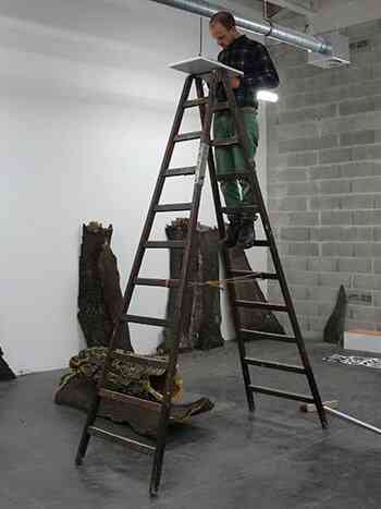 portrait_mathis_collins_2013_triangle-asterides