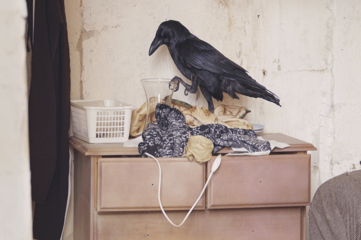 capture-decran-2024-07-24-a-14.11.07