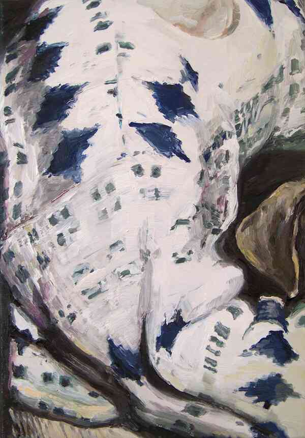 mireille_blanc_sandy_2010_huile_sur_toile_34_x_52_cm