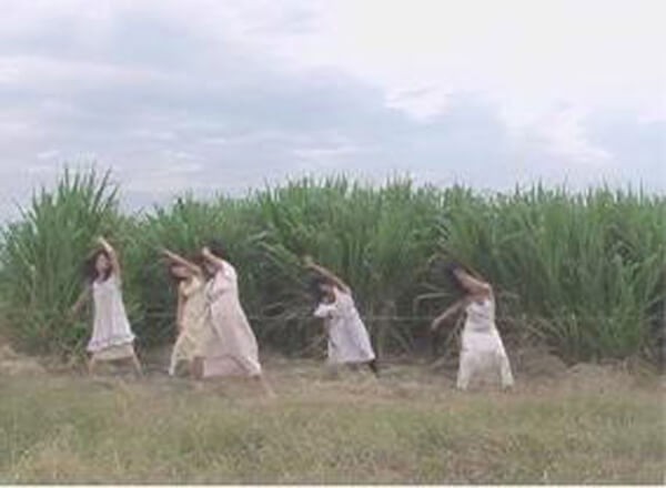 monica_restrepo_canne_de_sucre_video_2008-2009