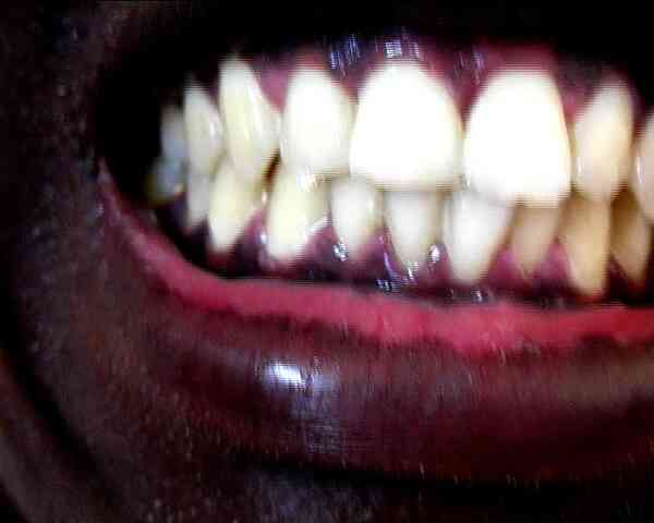 moussa_saar_le_loup_et_l_agneau_video_projection_1-31_en_boucle_2008