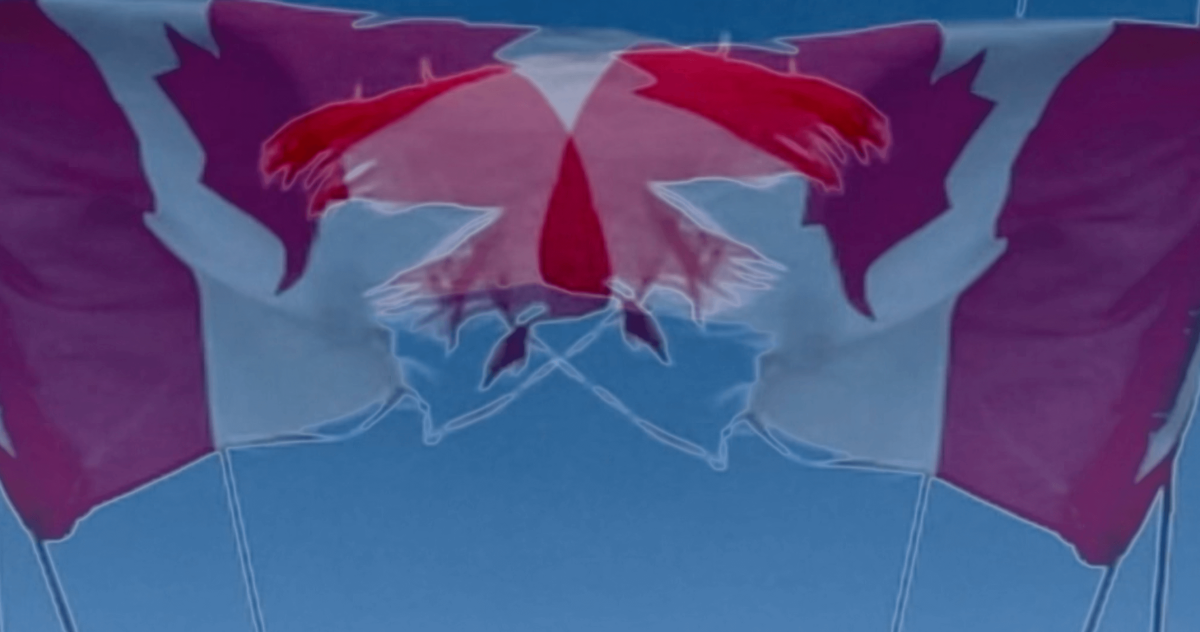 nadia-more-tethered-photogramme-2021-credit-photo-nadia-myre