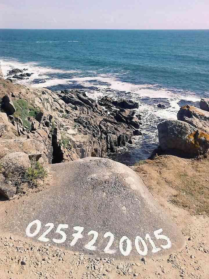 natalia_lopez_une_nouvelle_a_ecouter_dispositif_telephonique_2015_serveur_telephonique_peinture_dimensions_variables