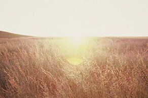 natsuko_uchino_sans_titre_2012_photo_argentique