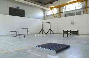 nicolas_momein_sculptures_animal_manufacture_darmes_saint-etienne_juin_2011